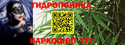 каннабис Ачхой-Мартан