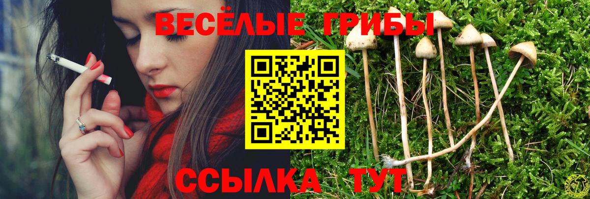 Волгоград  Псилоцибиновые грибы Cubensis  Псилоцибиновые грибы мицелий  Вход с VPN 